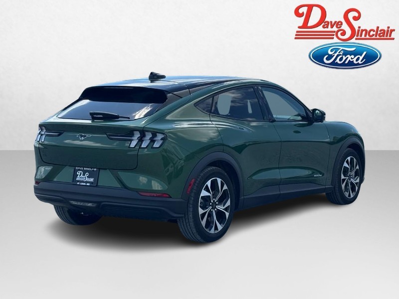 Ford Mustang Mach-E Vehicle Image 07