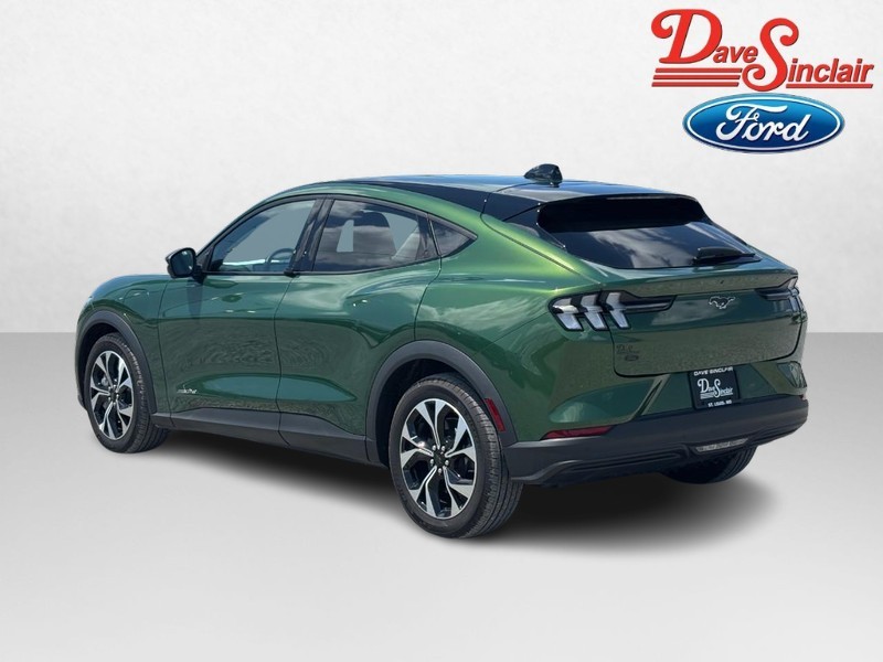 Ford Mustang Mach-E Vehicle Image 09