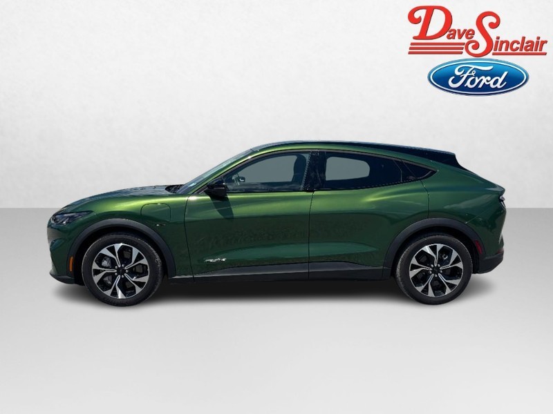 Ford Mustang Mach-E Vehicle Image 10