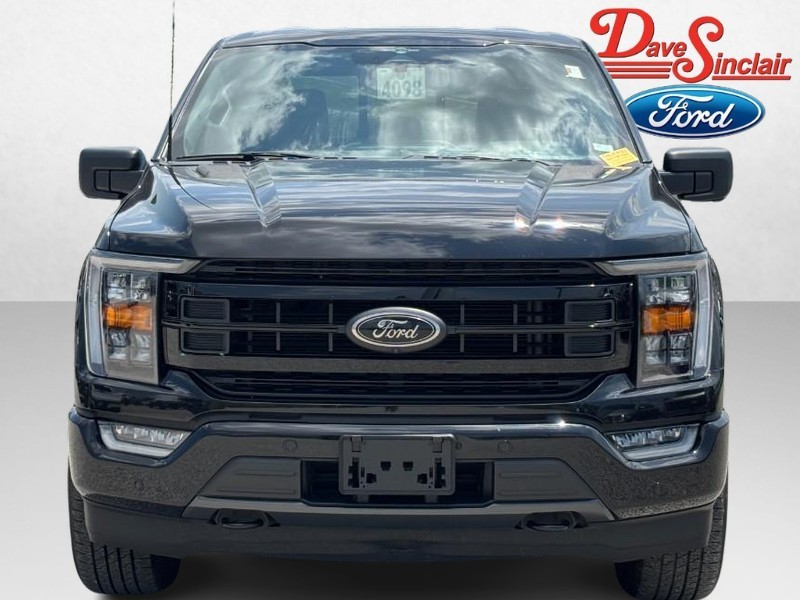 Ford F-150 Vehicle Image 02