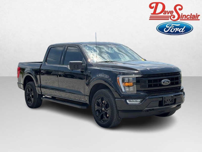 Ford F-150 Vehicle Image 04