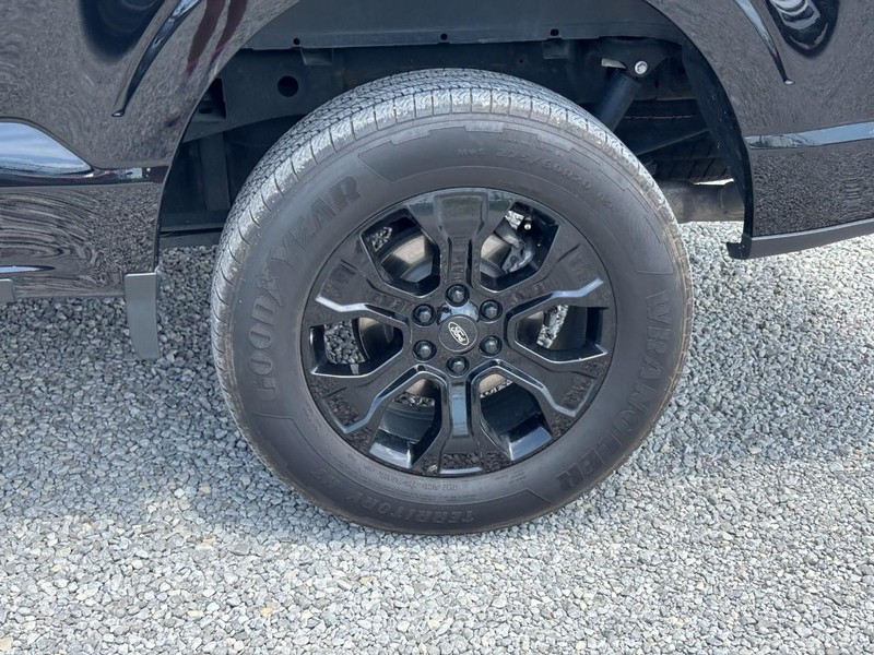 Ford F-150 Vehicle Image 12