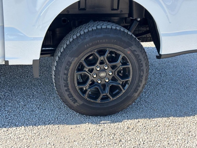 Ford F-150 Vehicle Full-screen Gallery Image 12