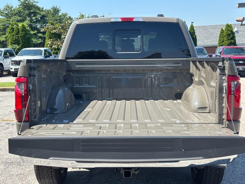 Ford F-150 Vehicle Full-screen Gallery Image 11