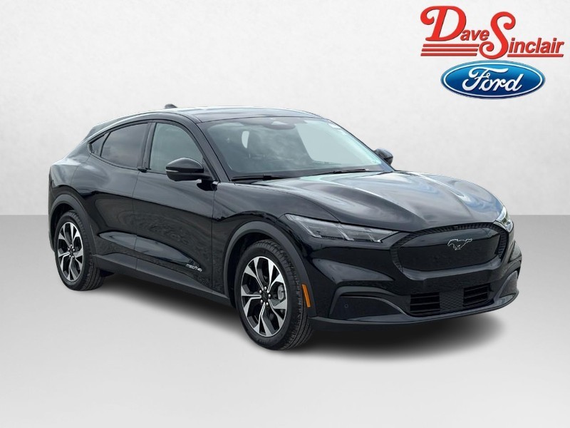 Ford Mustang Mach-E Vehicle Image 04