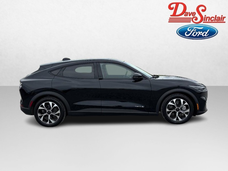 Ford Mustang Mach-E Vehicle Image 05