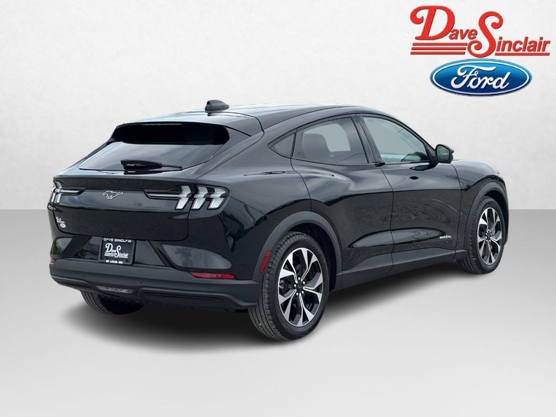 Ford Mustang Mach-E Vehicle Image 07