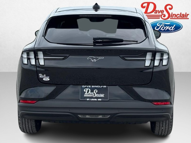 Ford Mustang Mach-E Vehicle Image 08