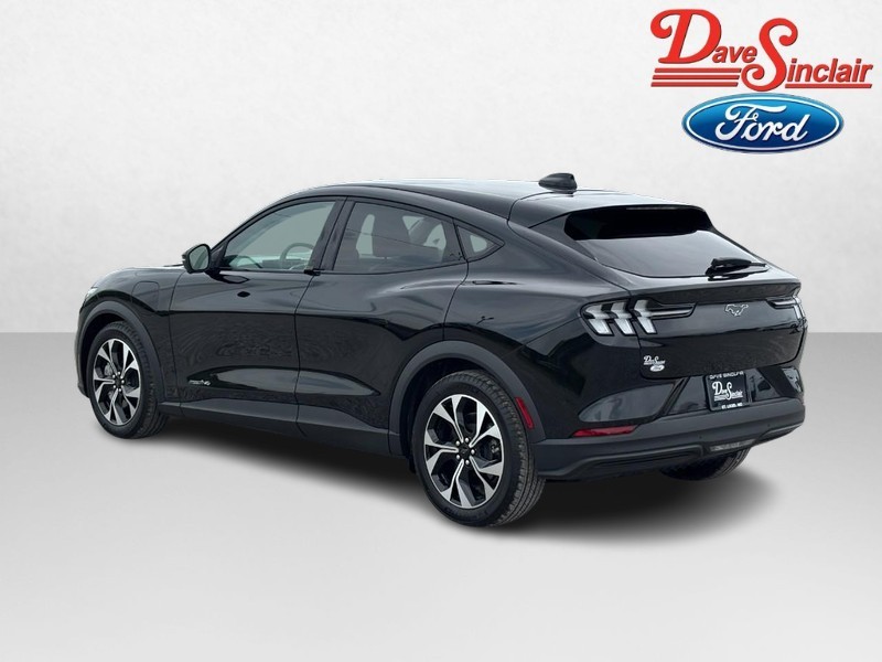Ford Mustang Mach-E Vehicle Image 09