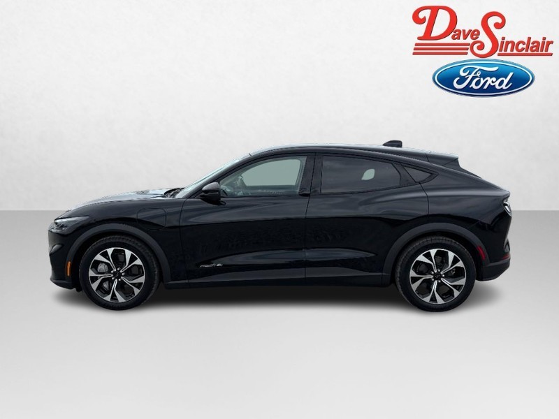 Ford Mustang Mach-E Vehicle Image 10