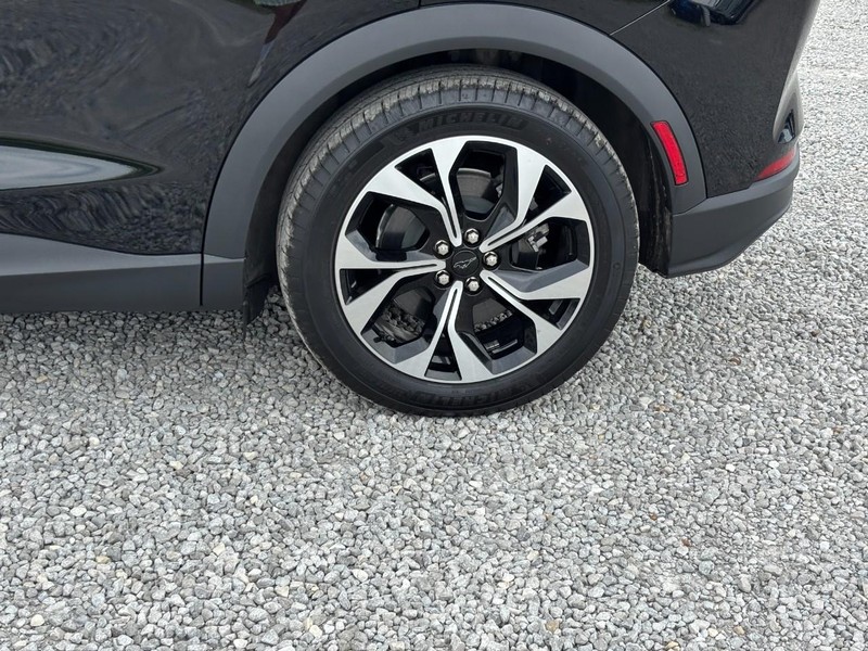Ford Mustang Mach-E Vehicle Image 12