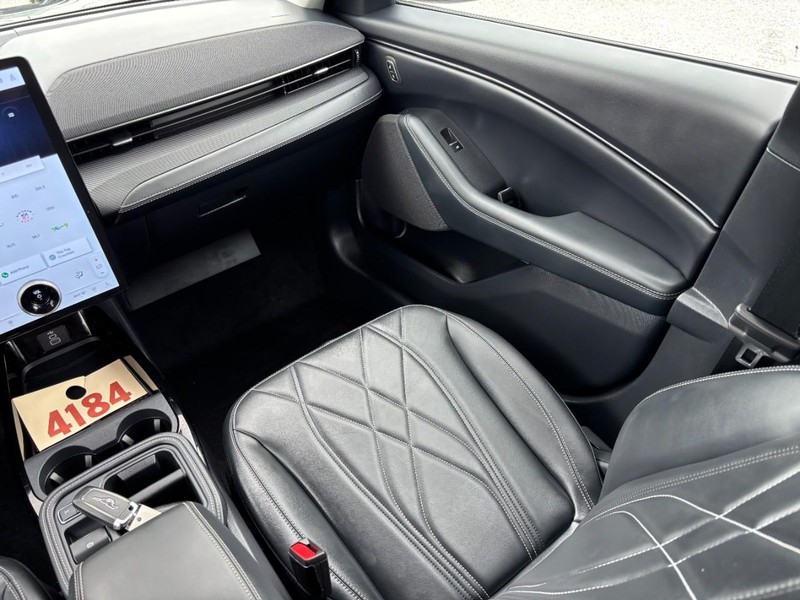 Ford Mustang Mach-E Vehicle Image 16