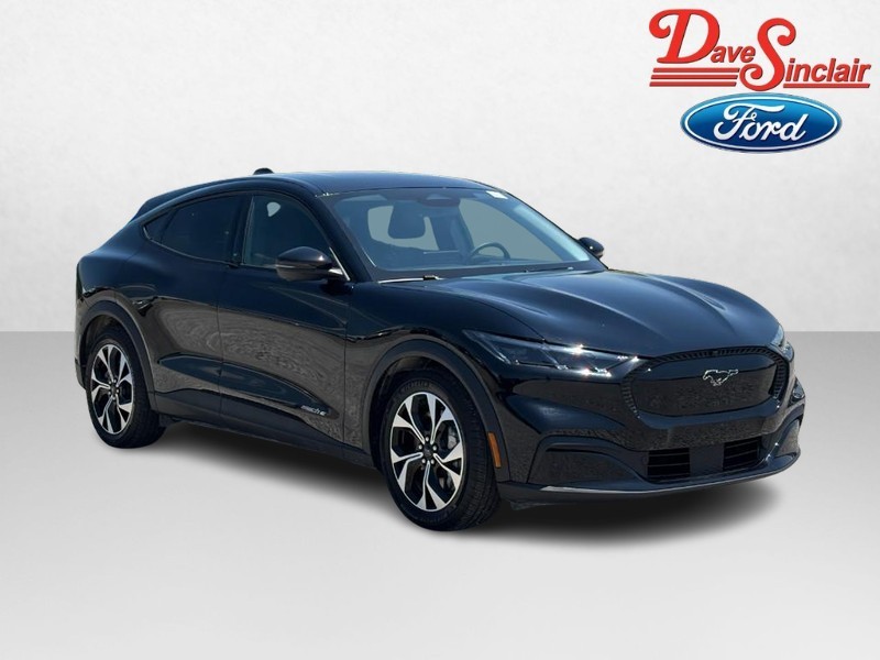 Ford Mustang Mach-E Vehicle Image 04