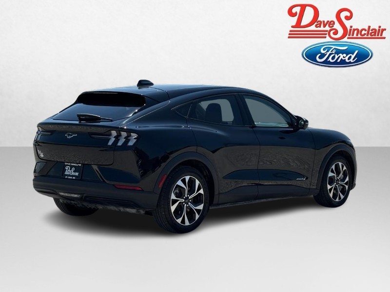 Ford Mustang Mach-E Vehicle Image 07