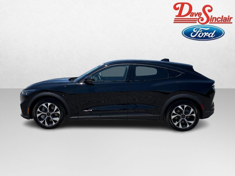 Ford Mustang Mach-E Vehicle Image 10