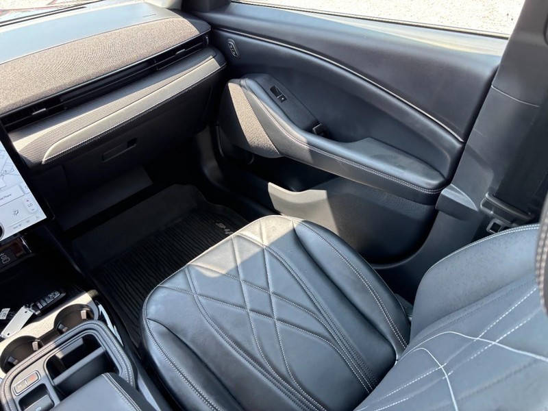 Ford Mustang Mach-E Vehicle Image 16