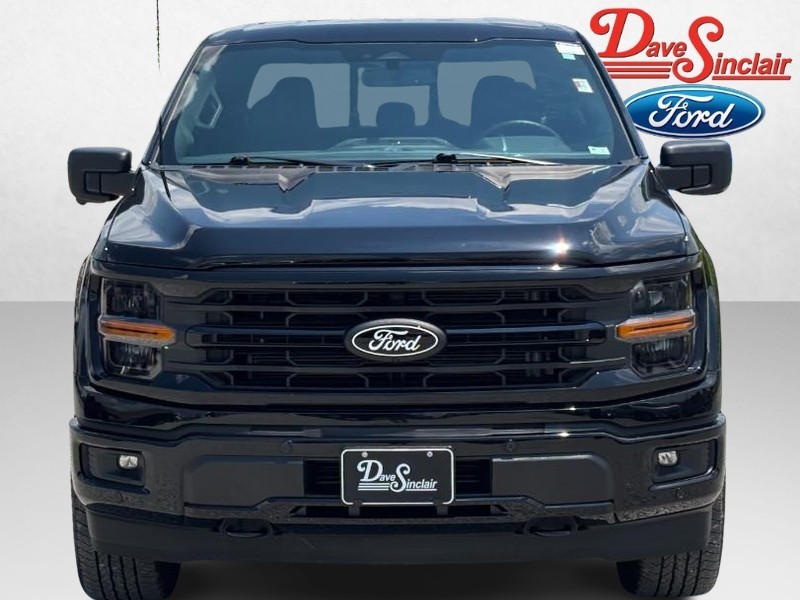 Ford F-150 Vehicle Image 02