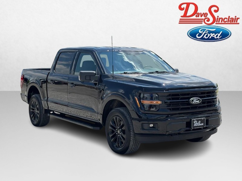 Ford F-150 Vehicle Image 04
