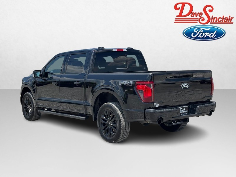 Ford F-150 Vehicle Image 09