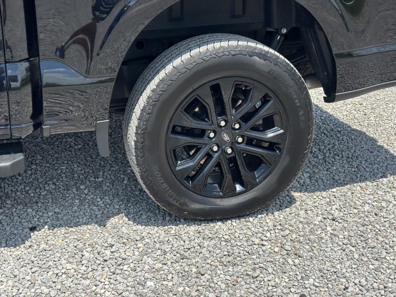 Ford F-150 Vehicle Image 11