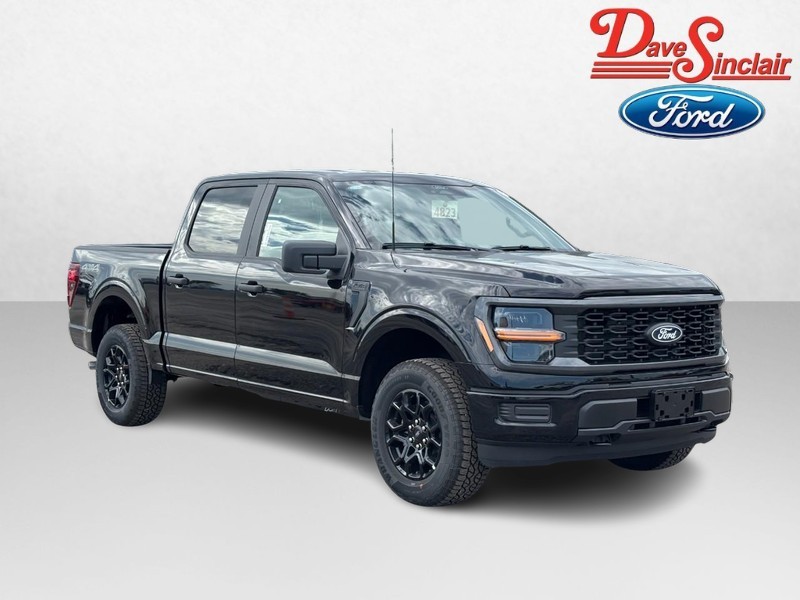 Ford F-150 Vehicle Full-screen Gallery Image 04