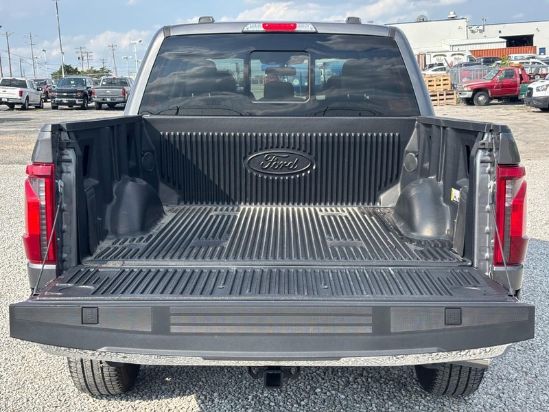 Ford F-150 Vehicle Full-screen Gallery Image 11