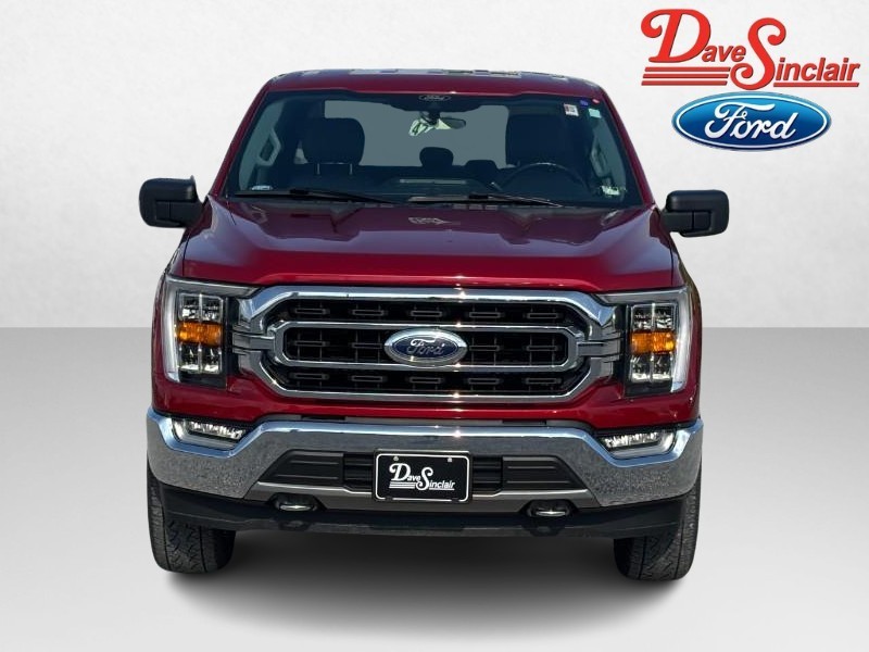 Ford F-150 Vehicle Image 02