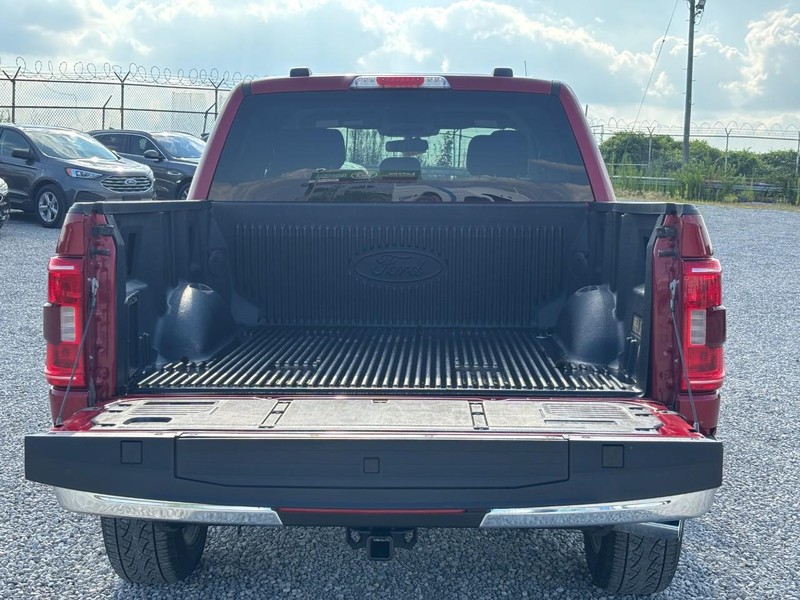 Ford F-150 Vehicle Image 11