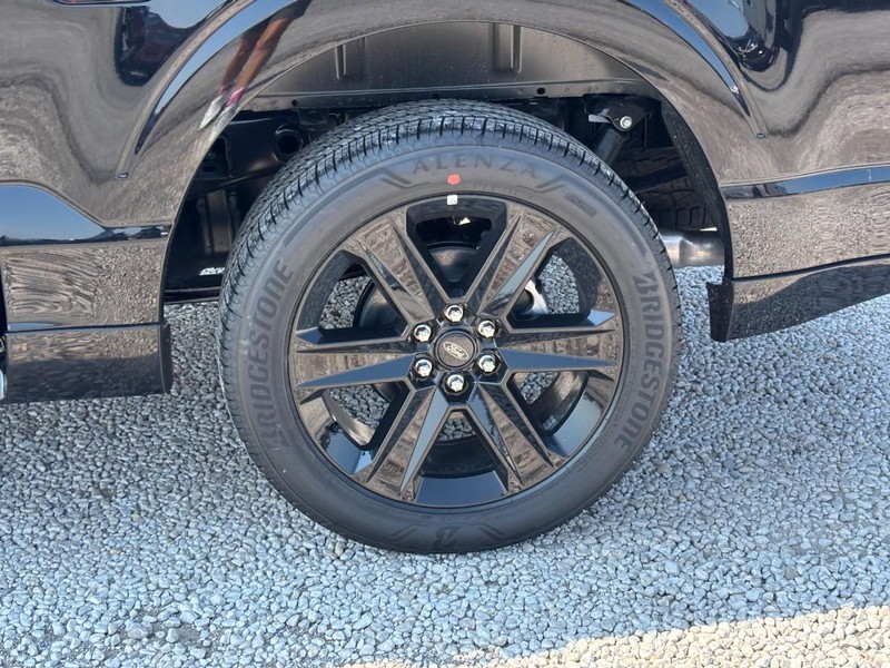 Ford F-150 Vehicle Full-screen Gallery Image 12