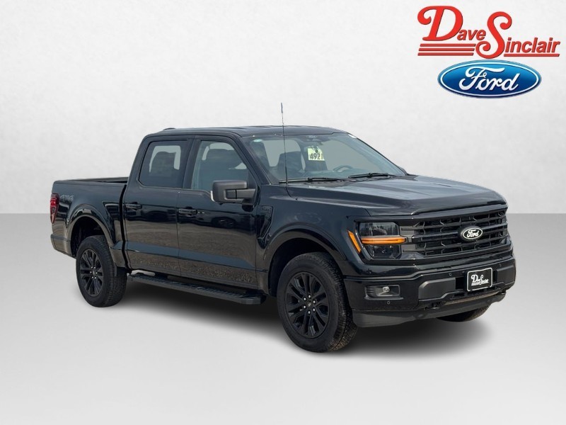 Ford F-150 Vehicle Full-screen Gallery Image 04