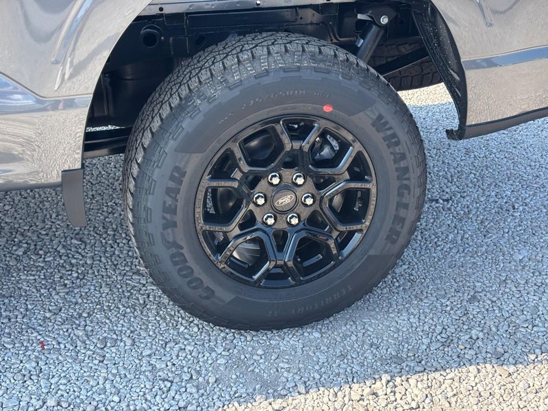 Ford F-150 Vehicle Full-screen Gallery Image 12