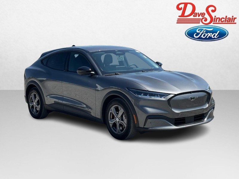 Ford Mustang Mach-E Vehicle Image 04