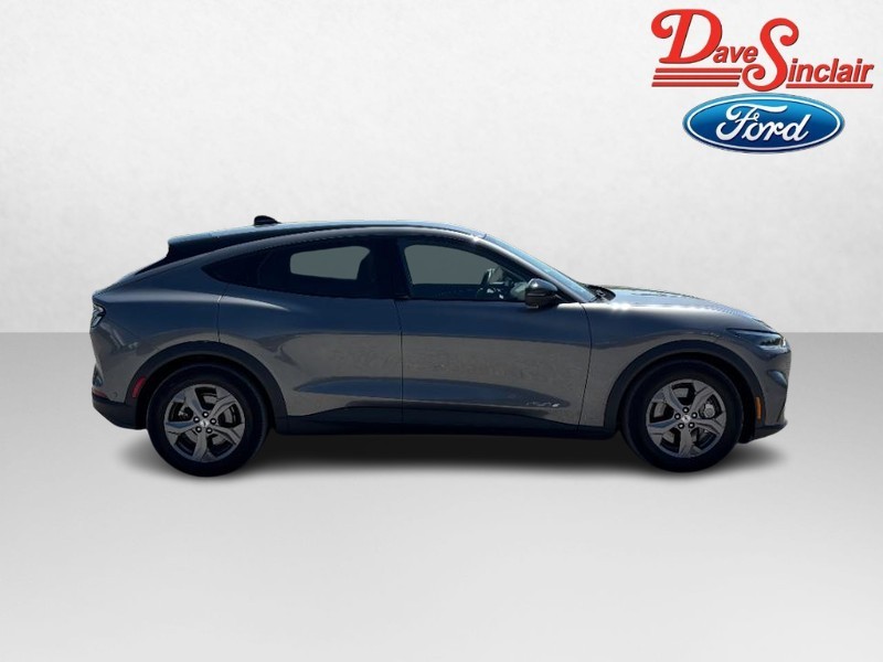 Ford Mustang Mach-E Vehicle Image 05