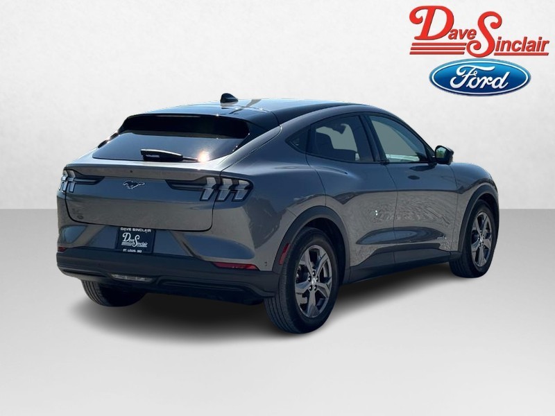 Ford Mustang Mach-E Vehicle Image 07