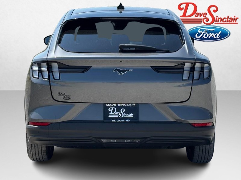 Ford Mustang Mach-E Vehicle Image 08