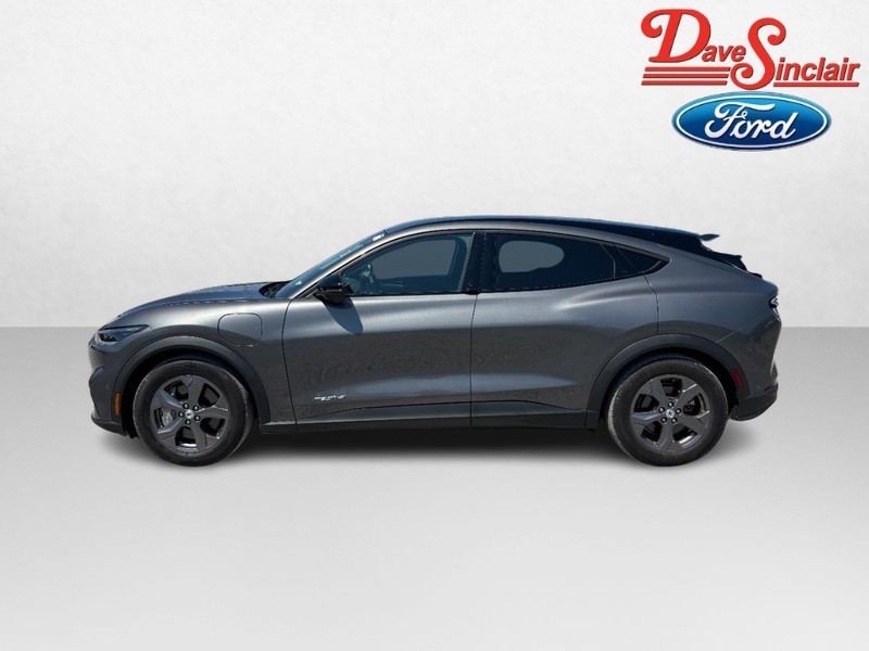 Ford Mustang Mach-E Vehicle Image 10