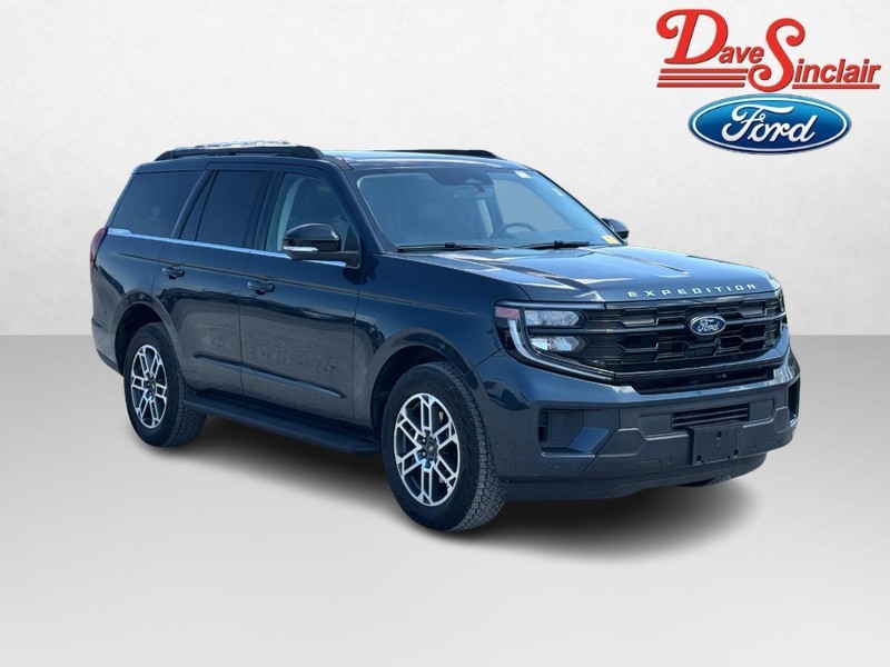 Ford Expedition Vehicle Image 04