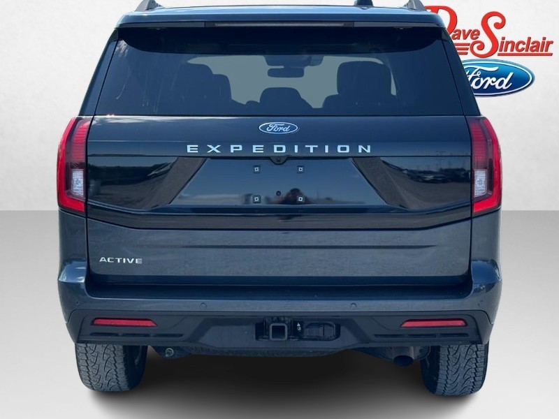 Ford Expedition Vehicle Image 08