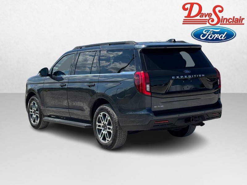 Ford Expedition Vehicle Image 09