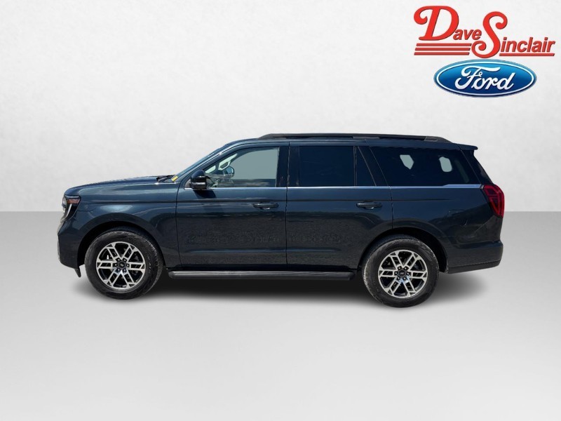 Ford Expedition Vehicle Image 10