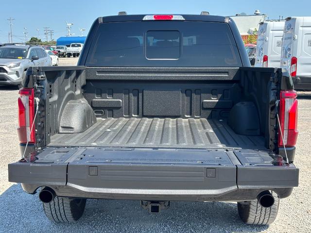 Ford F-150 Vehicle Image 09