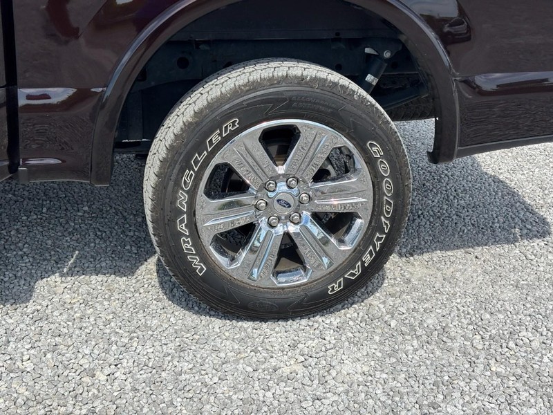 Ford F-150 Vehicle Image 12