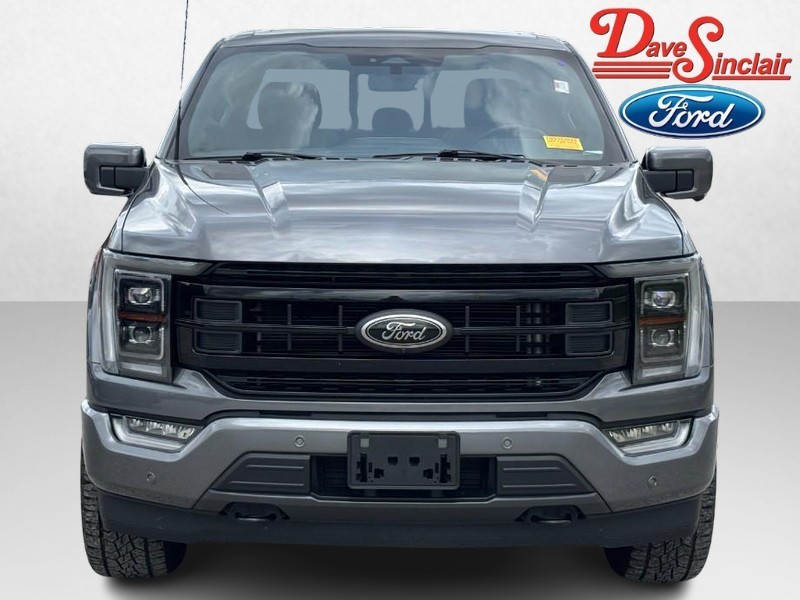 Ford F-150 Vehicle Image 02