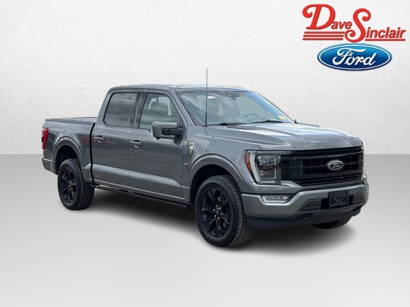 Ford F-150 Vehicle Image 04