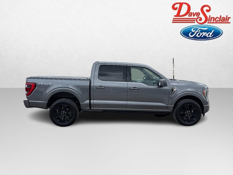 Ford F-150 Vehicle Image 05