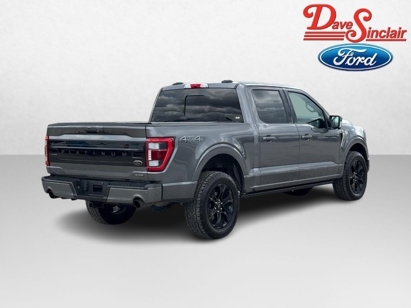 Ford F-150 Vehicle Image 07