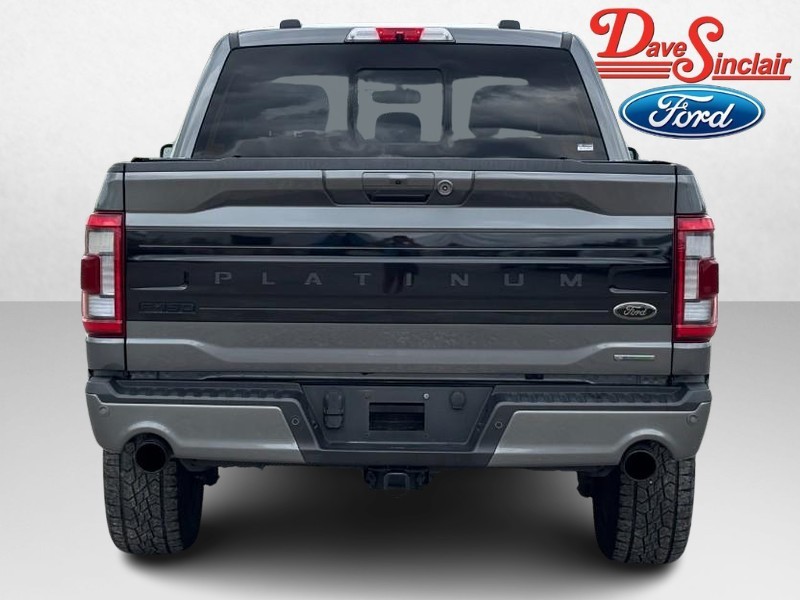 Ford F-150 Vehicle Image 08