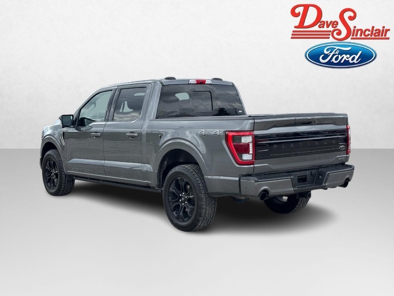 Ford F-150 Vehicle Image 09