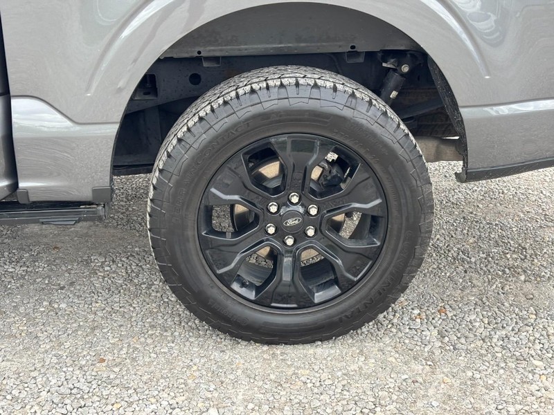 Ford F-150 Vehicle Image 12