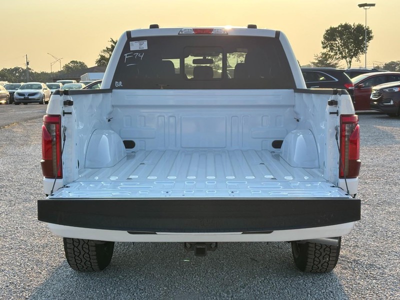 Ford F-150 Vehicle Full-screen Gallery Image 11